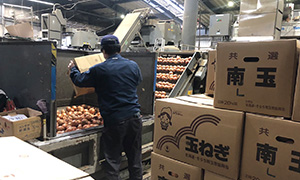 開梱作業の様子